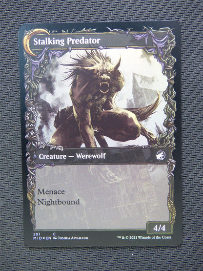 Shady Traveler Stalking Predator Foil  Showcase - Innistrad - Mtg Card #3M4