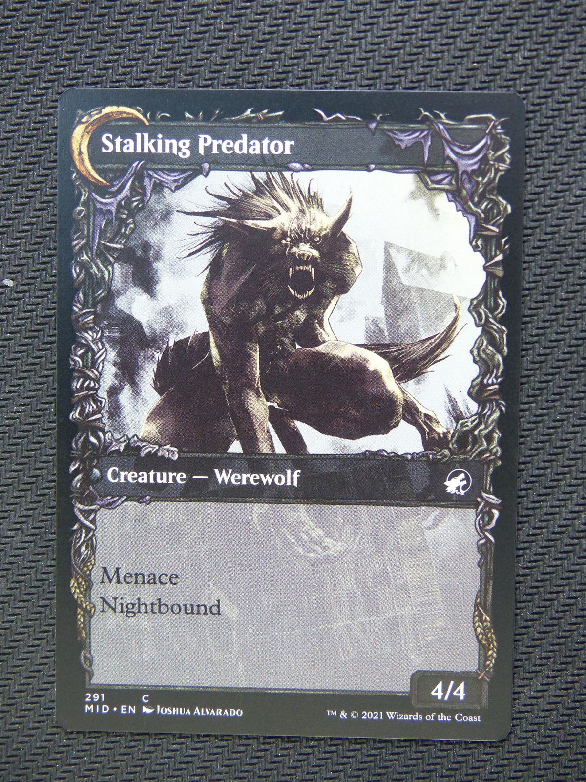 Shady Traveller Stalking Predator  Showcase - Innistrad - Mtg Card #3MG
