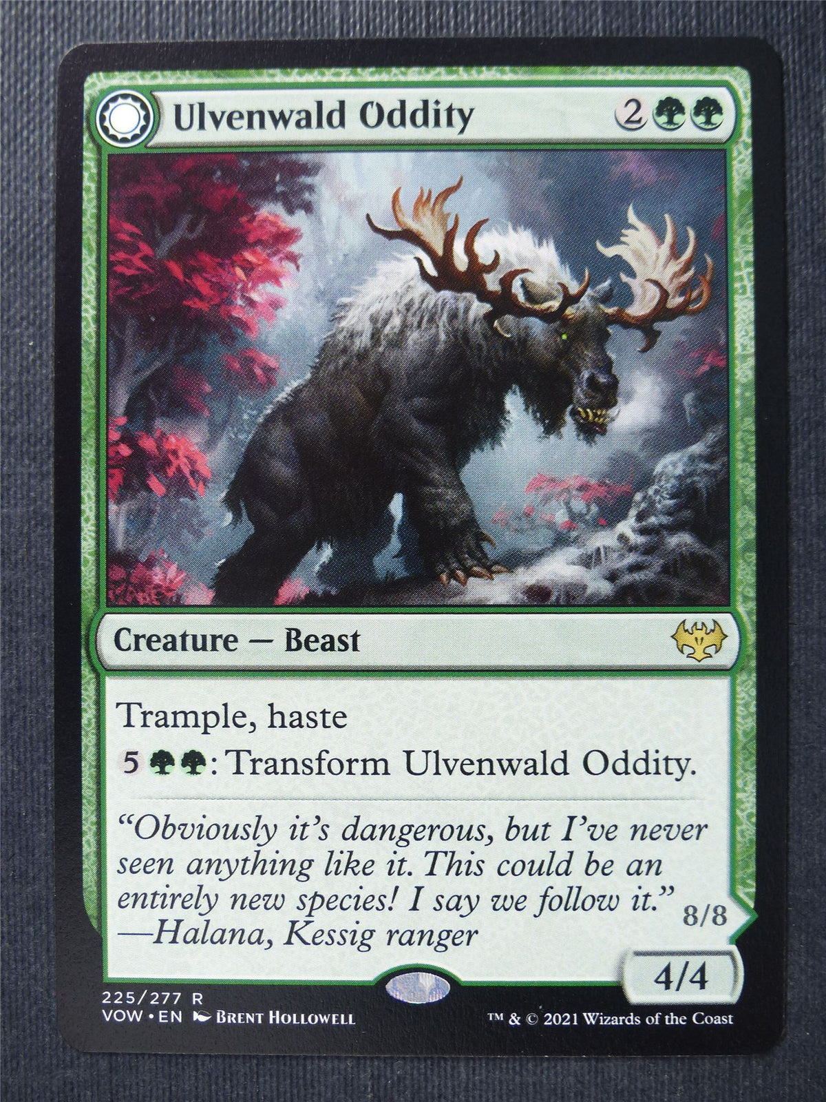 Ulvenwald Oddity - Mtg Card #37O
