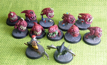 Gloomspite Gitz - Squig Herd and Herders Painted - Warhammer AoS 40k #AW