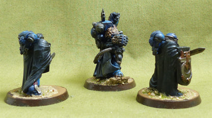 Marneus Calgar with Victrix Honour Guard Painted - Ultramarines - Warhammer 40K #24S