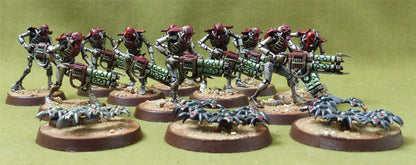 Warriors and Scarab Swarms painted - Necrons - Warhammer 40K #409