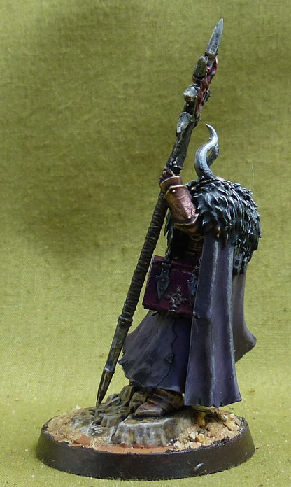 Chaos Sorcerer Lord painted - Slaves to Darkness - Warhammer AoS #5CR