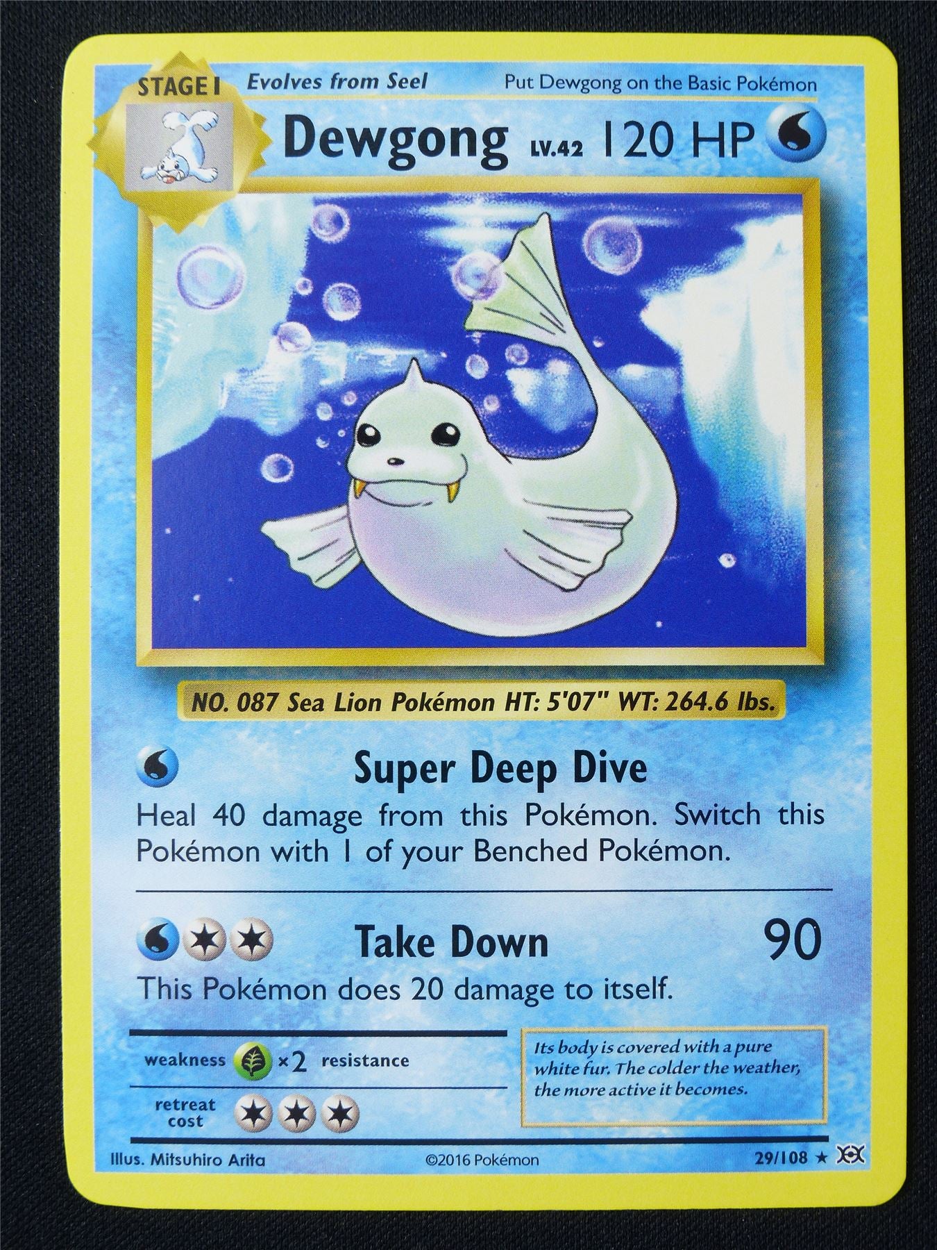 Dewgong 29/108 XY Evolutions - Pokemon Card #1EN