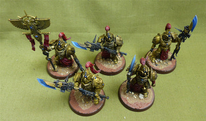 Custodian Wardens painted - Adeptus Custodes - Warhmmaer 40K #1OV