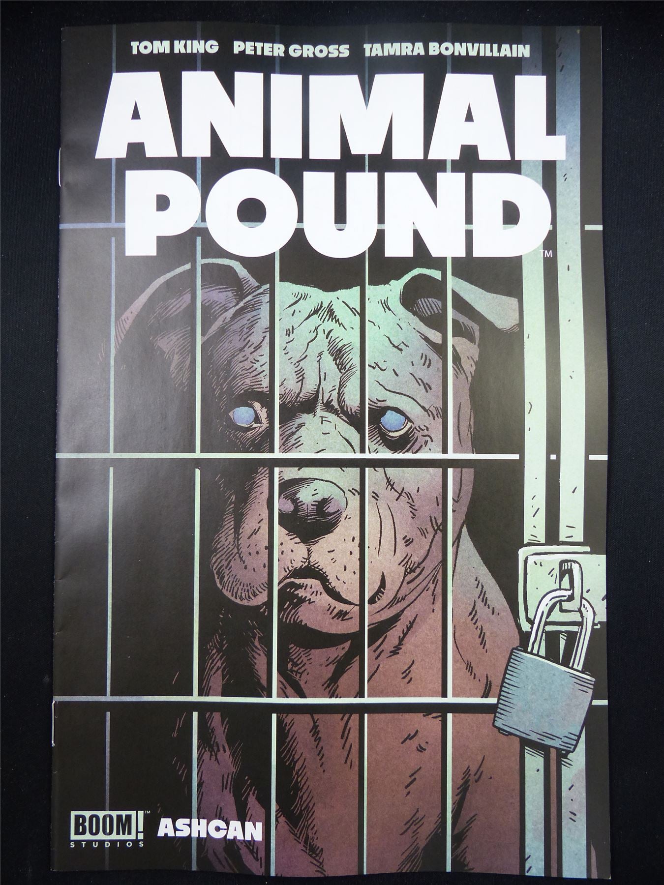 ANIMAL Pound Ashcan - Nov 2023 Boom! Comic #PC