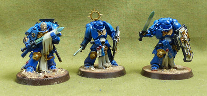 Bladeguard Veteran Squad painted - Space Marines - Warhammer 40K #6U0