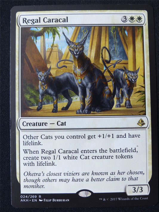 Regal Caracal - AKH - Mtg Card #29V