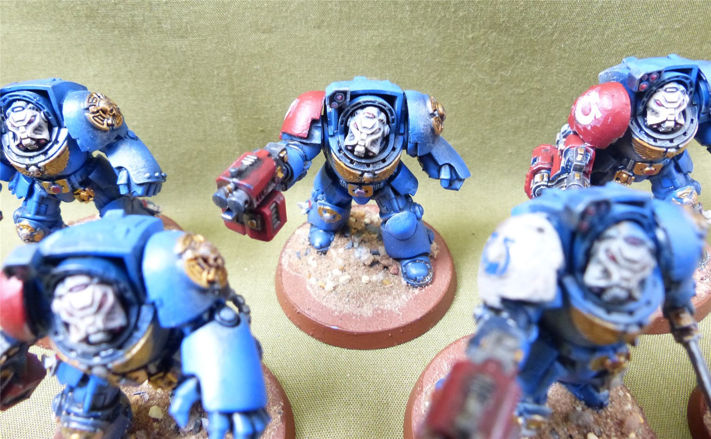 Space Marines - Terminator Squad painted - Warhammer 40K #19Y