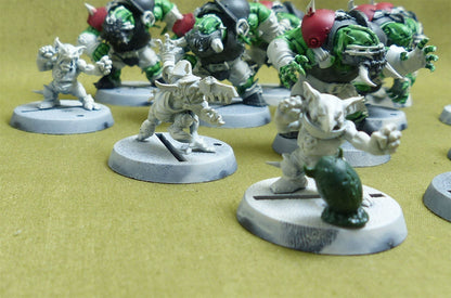Black Orcs Team: The Thunder Valley Greenskins
  - Warhammer Blood Bowl #44A