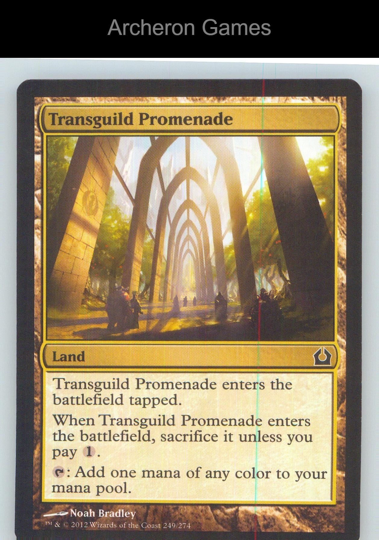 Transguild Promenade RTR 249 C MTG Card NM/EX+