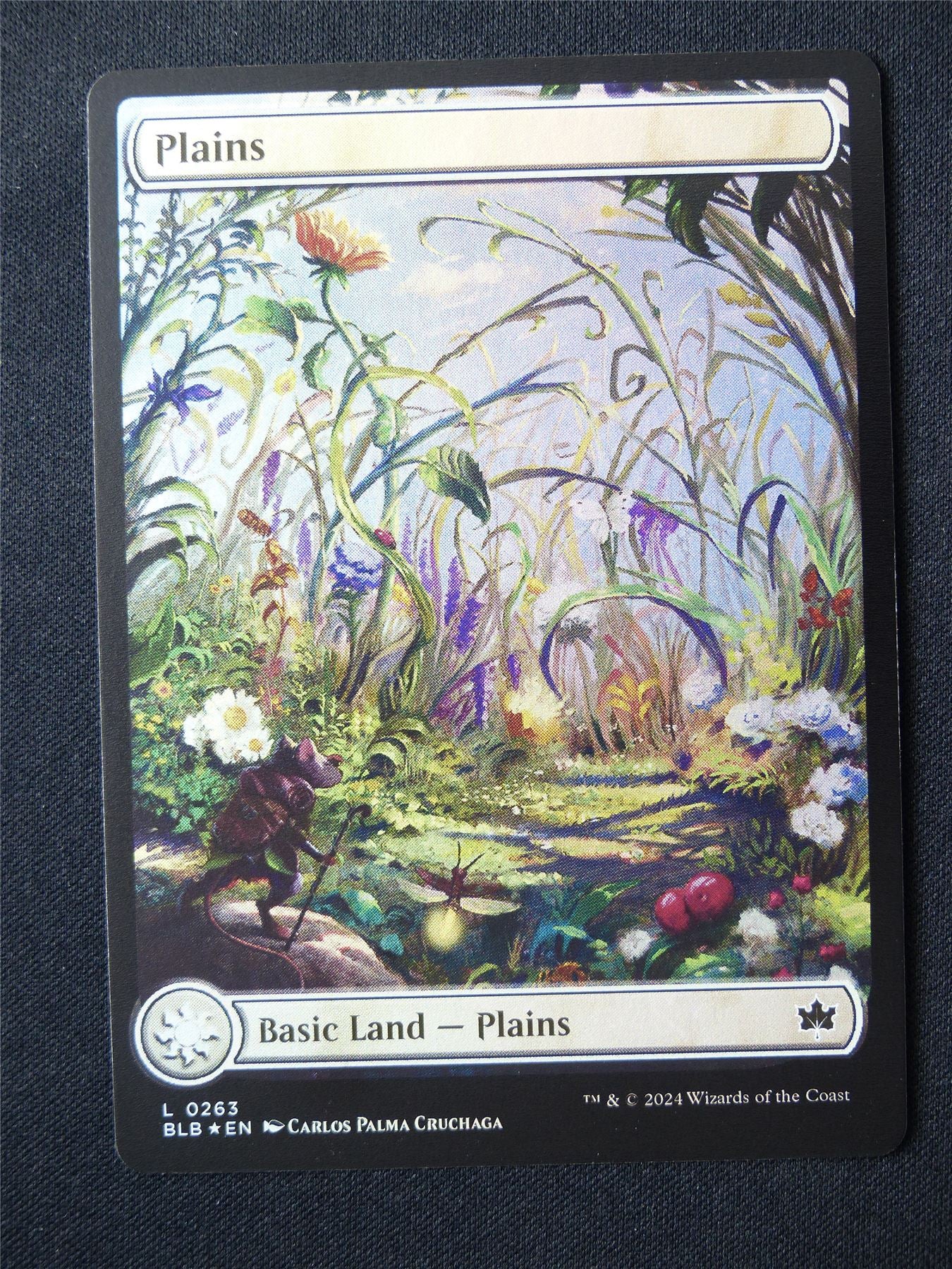 Plains Full Art Foil 0263 Spring - BLB - Mtg Card #5BB