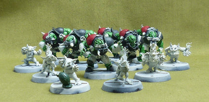 Black Orcs Team: The Thunder Valley Greenskins
  - Warhammer Blood Bowl #44A