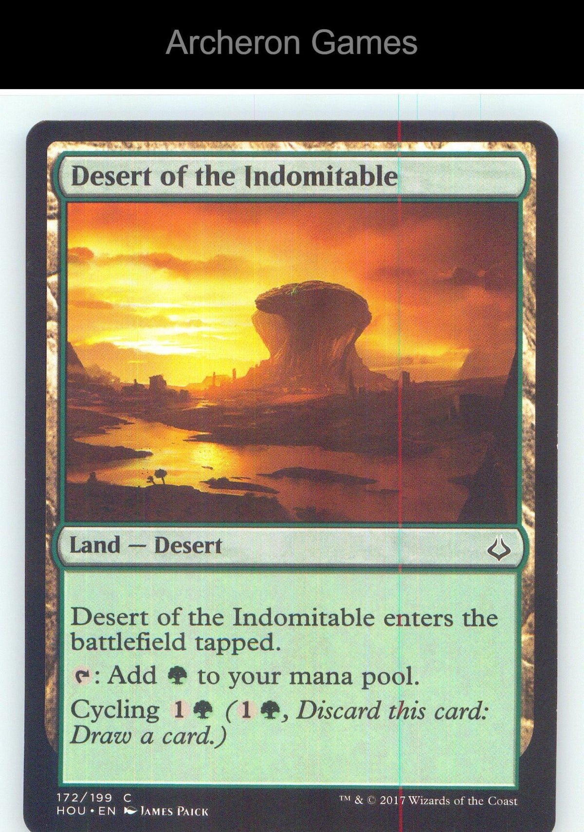 Desert of the Indomitable HOU 172 C MTG Card NM/EX+
