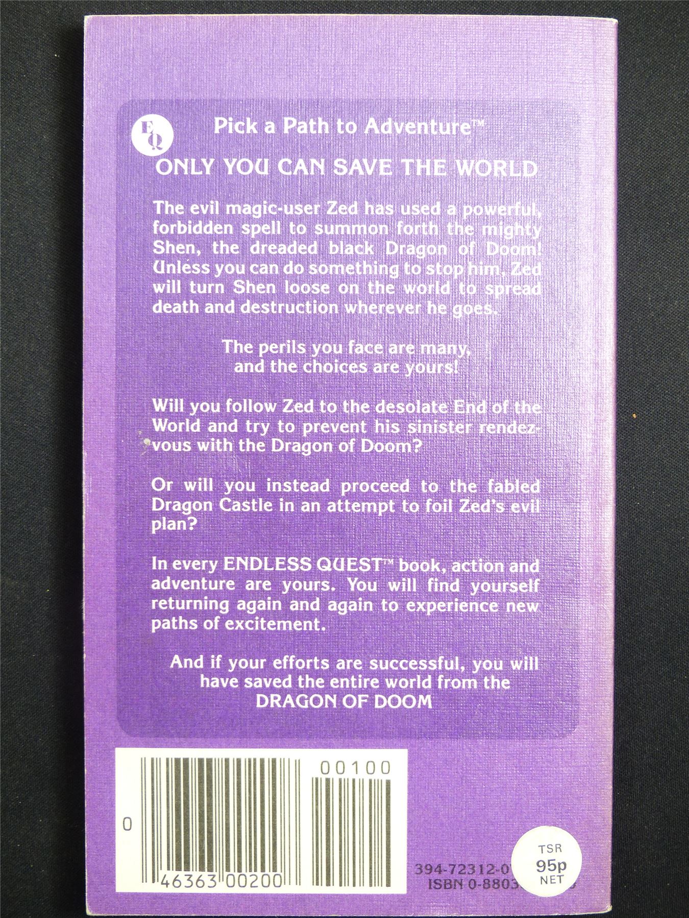 D&D Adventure Book: Dragon of Doom Endless Quest - Vintage Novel Softback #LX