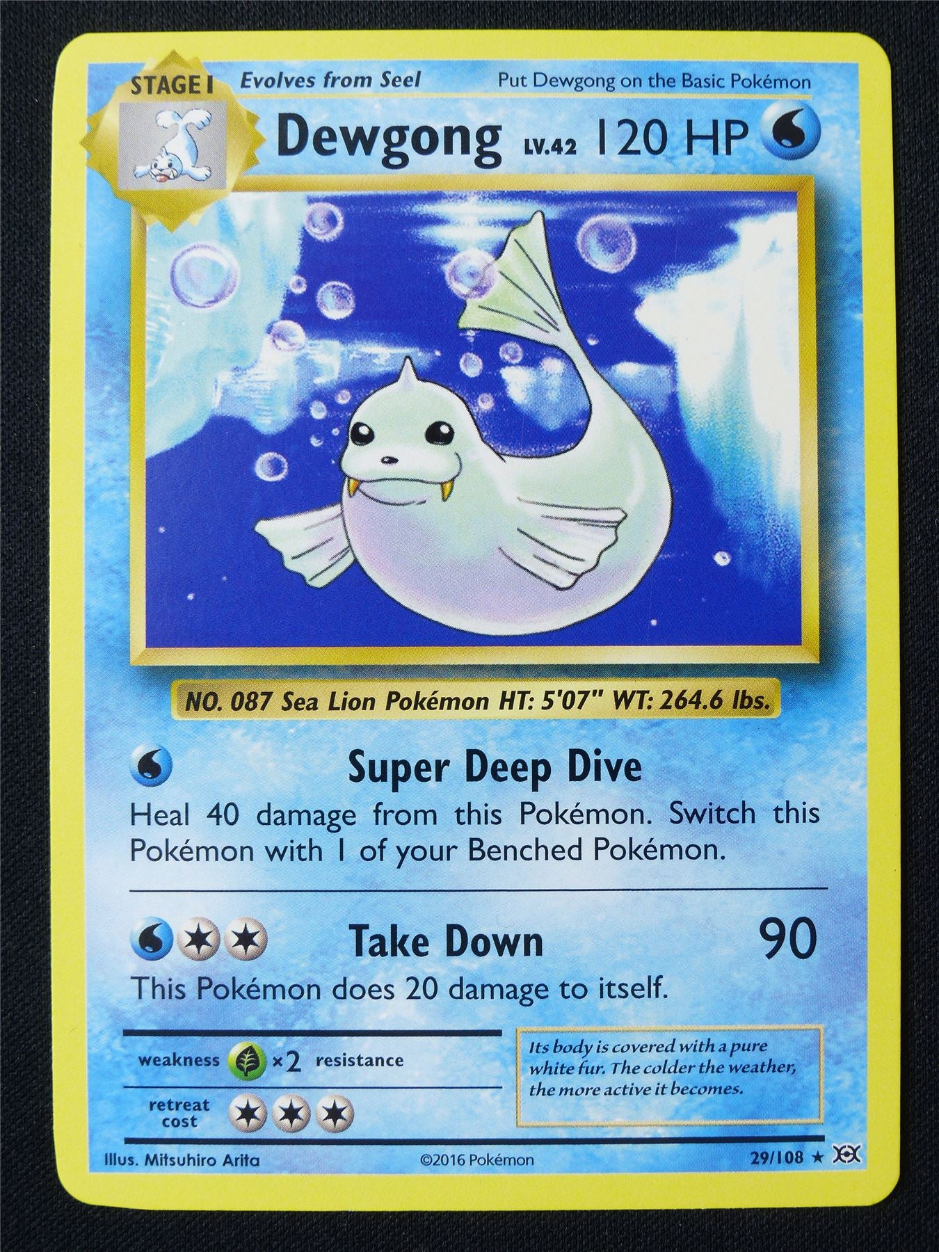 Dewgong 29/108 XY Evolutions - Pokemon Card #1G1