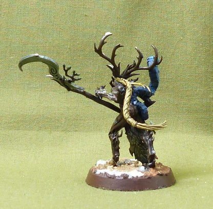 Branchwych painted - Sylvaneth - Warhammer AoS #69Y