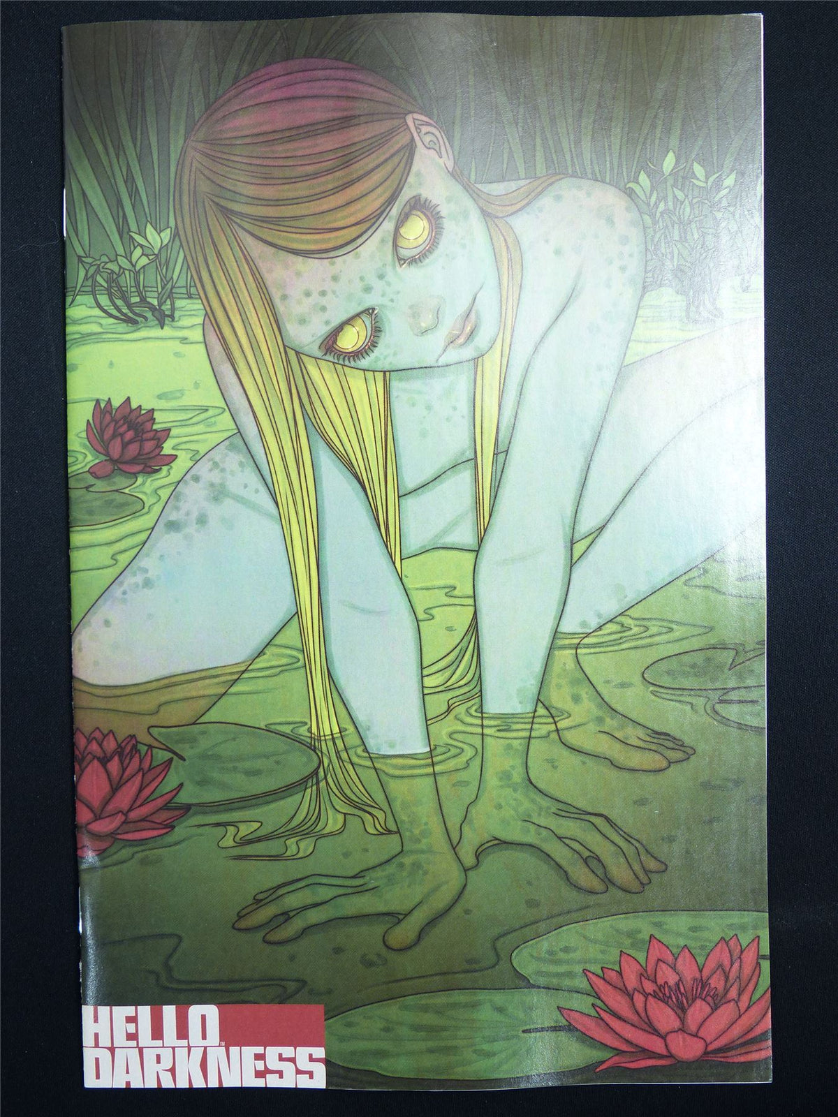 HELLO Darkness #26 Cvr B - Oct 2026 Boom! Comic #56H