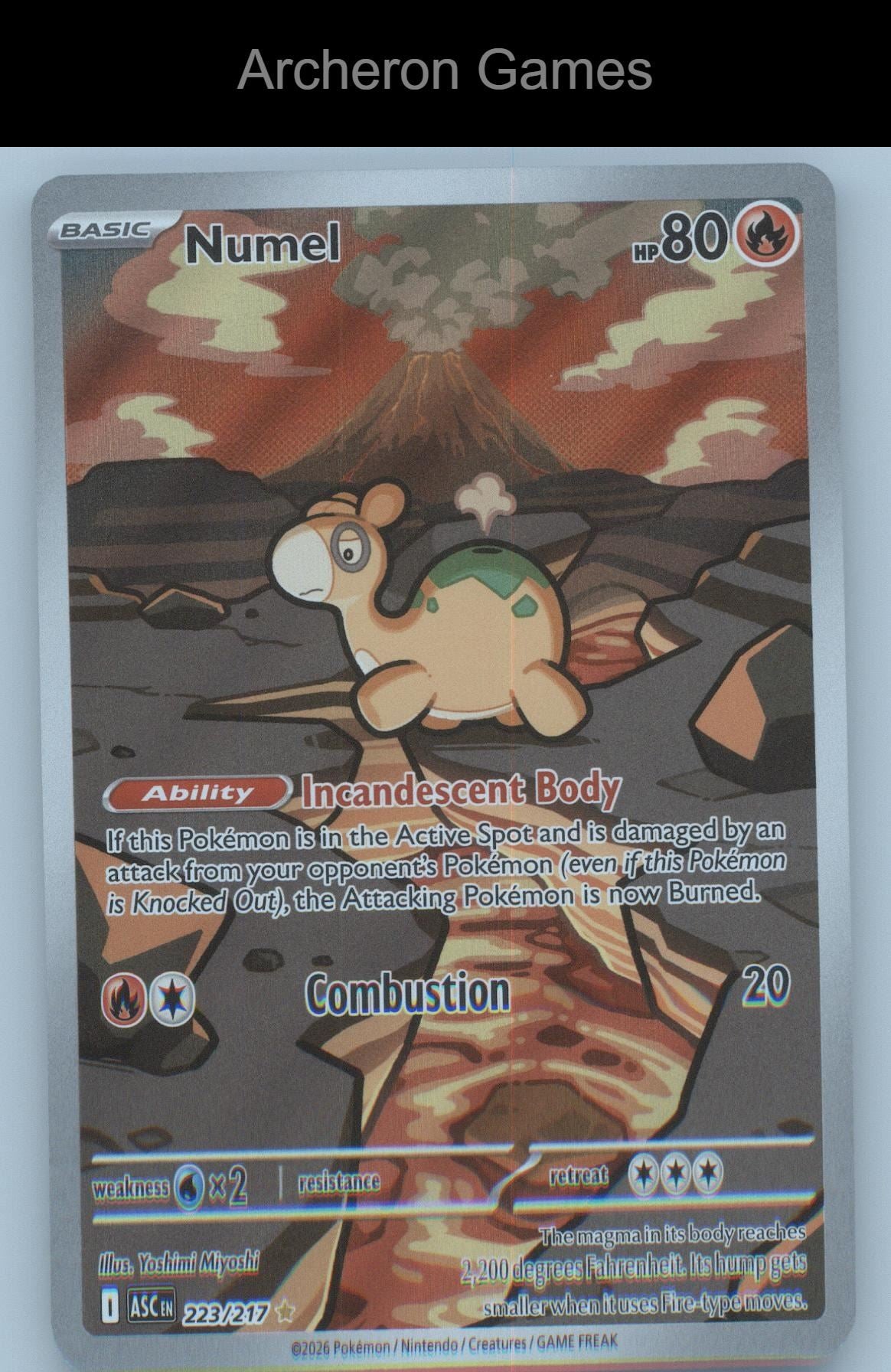 Pokemon Card Numel ASC 223/217 Illustration Rare Ascended Heroes Holo