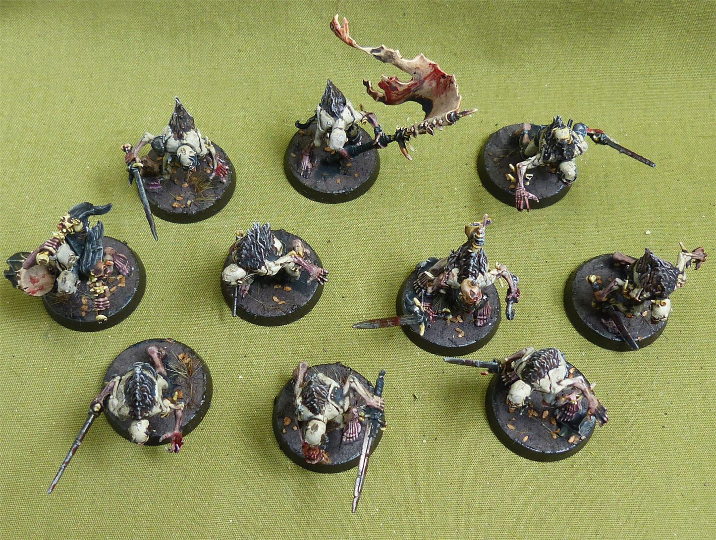 Cryptguard painted - Flesh-Eater Court - Warhammer AoS #5CI