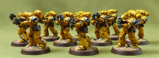 Interceossors painted - Imperial Fist - Warhammer 40K #40Q