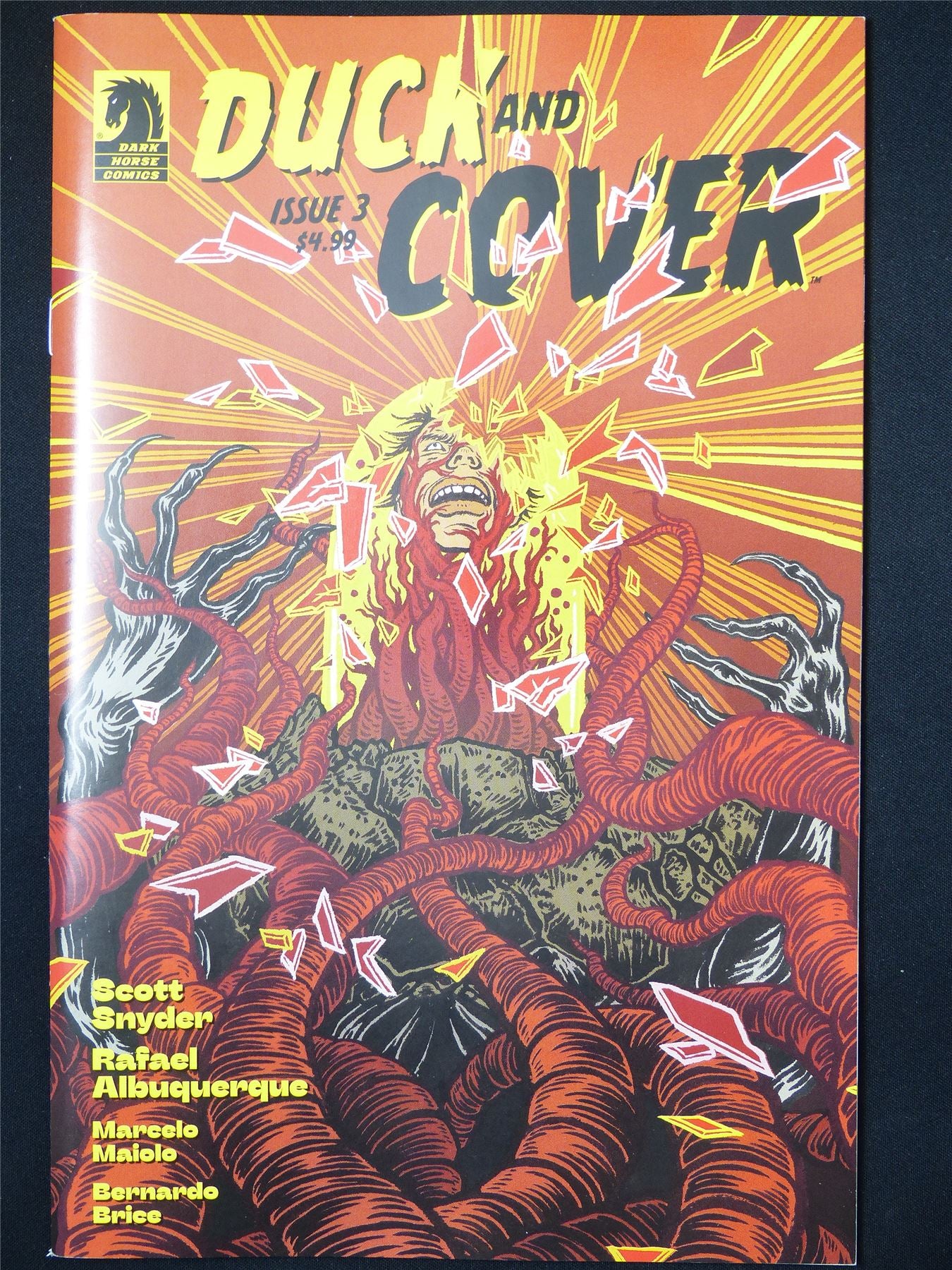 DUCK and Cover #3 - Dark Horse Comic #5MT