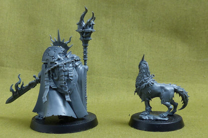 Lord Veritant and Gryph Crow - Stormcast Eternals - Warhammer AoS #1CJ