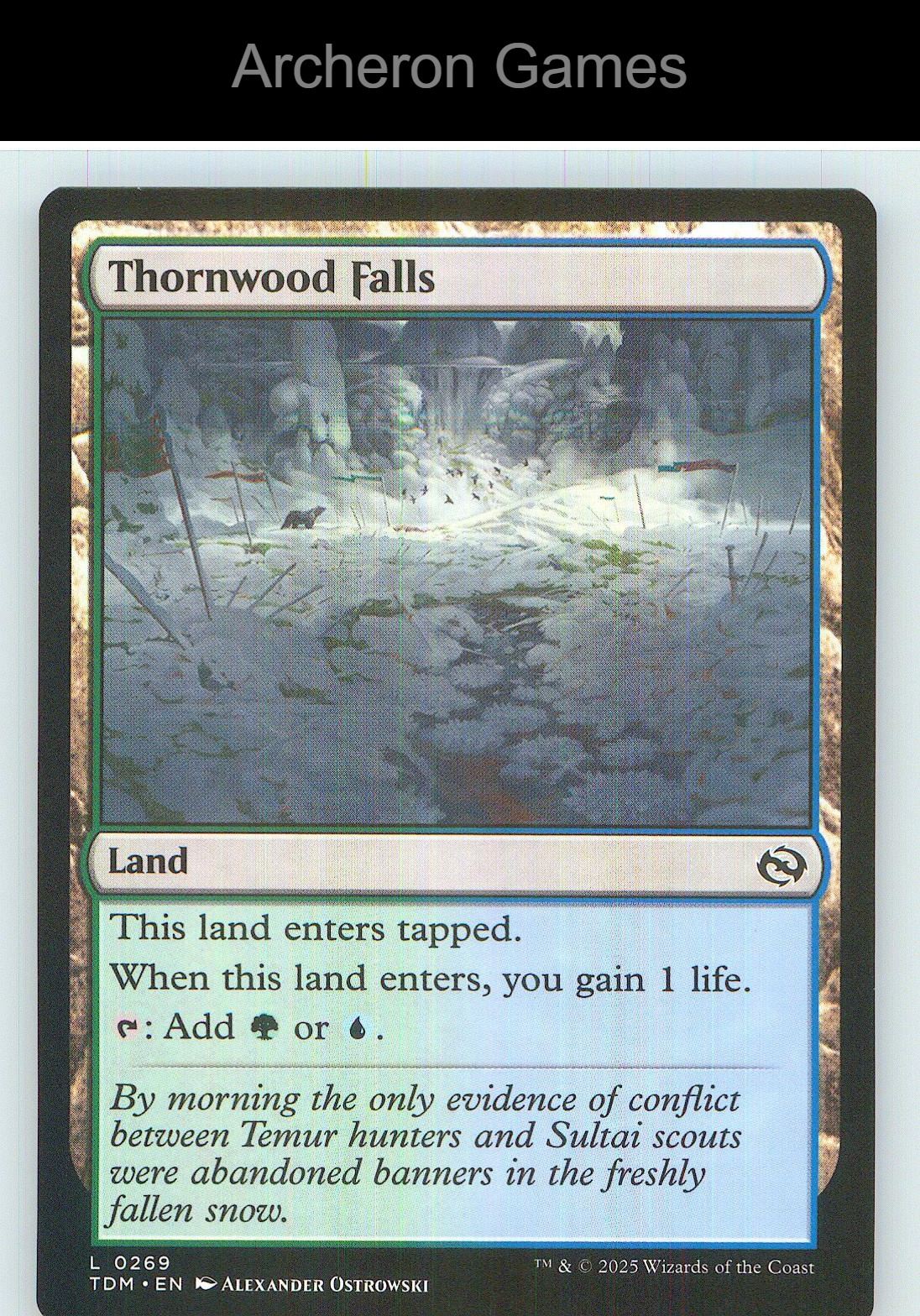 Thornwood Falls TDM 269 Land MTG Card NM/EX+