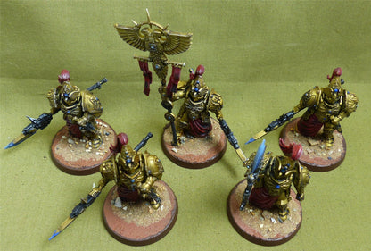 Custodian Wardens painted - Adeptus Custodes - Warhmmaer 40K #1OW