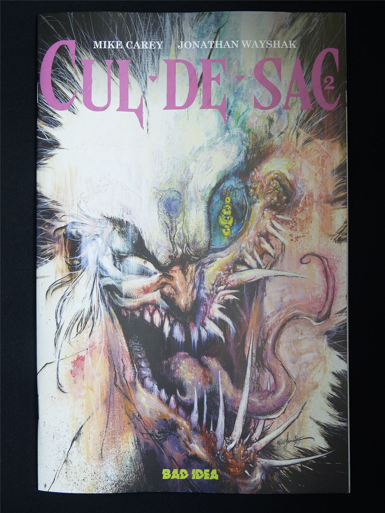 CUL-DE-SAC #2 - Sep 2025 bad Idea Comic #3YC