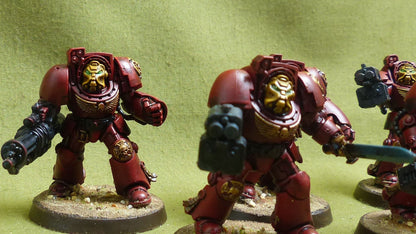 Terminator Squad painted - Blood Angels - Warhammer 40K #3YT
