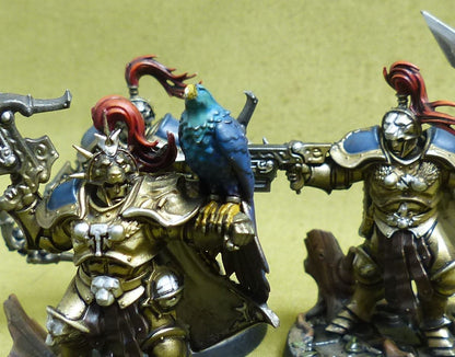 The Farstriders painted - Order Warband - Warhammer Underworlds #2PX