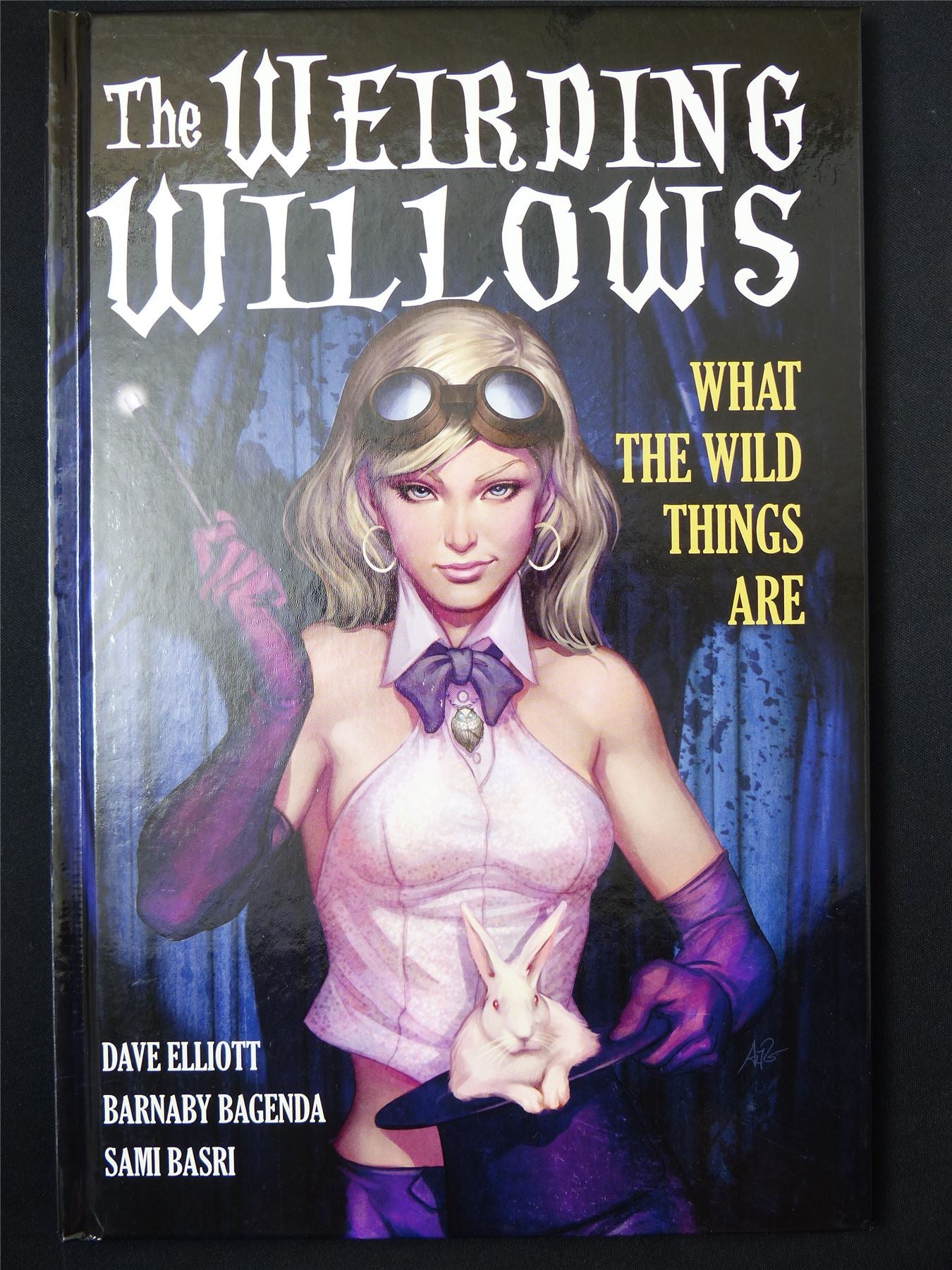 The Weirding Willows: What the Wild Things Are - Titan Graphic Hardback #2R5