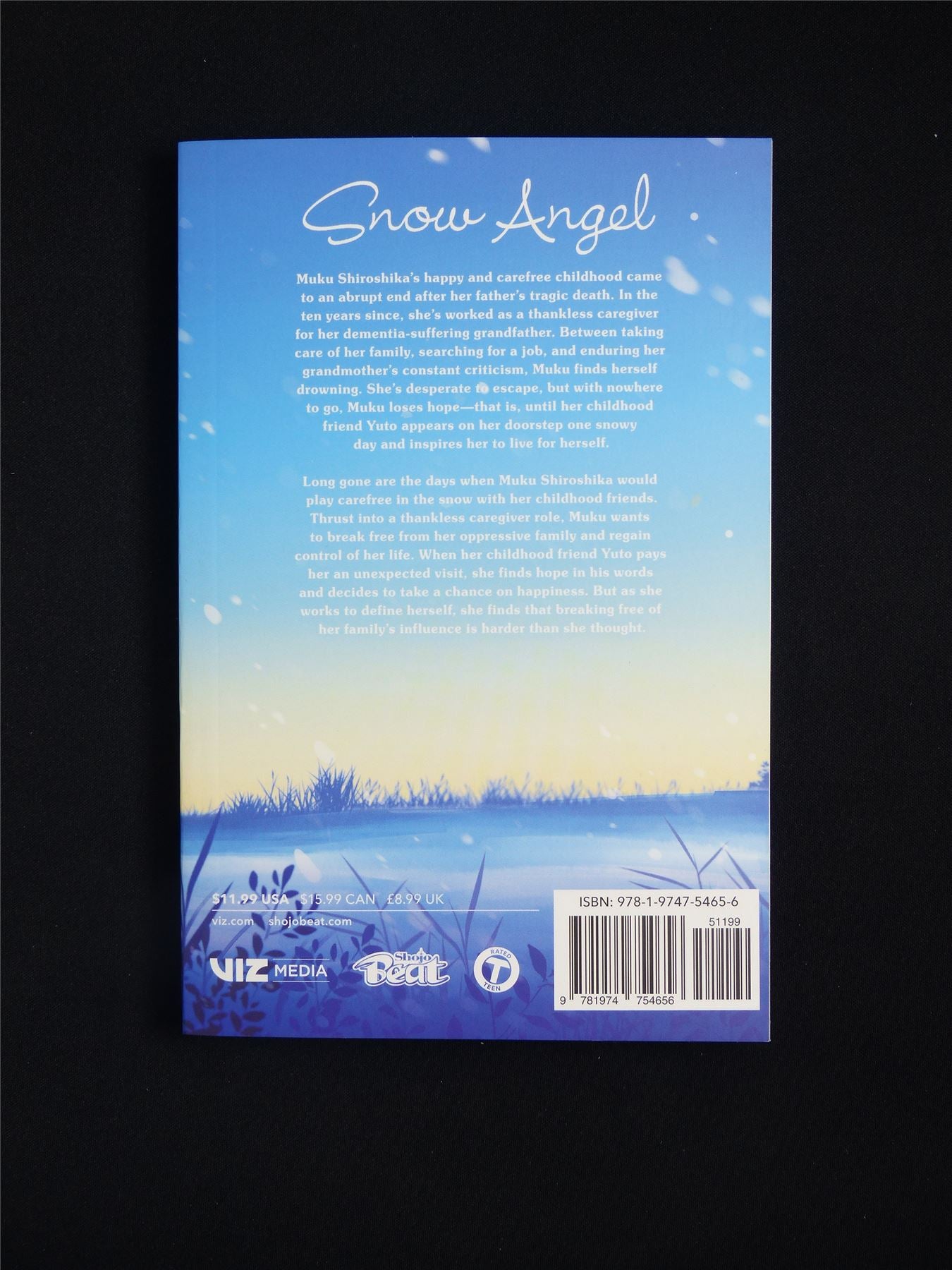 Snow Angel volume 1 - Viz Manga #25V
