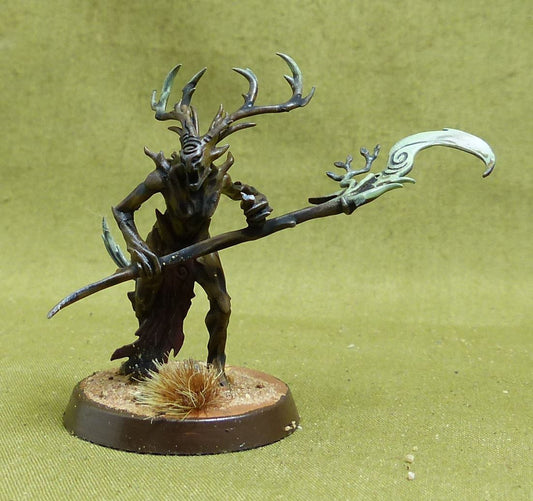 Branchwych painted - Sylvaneth - Warhammer AoS #5Z8