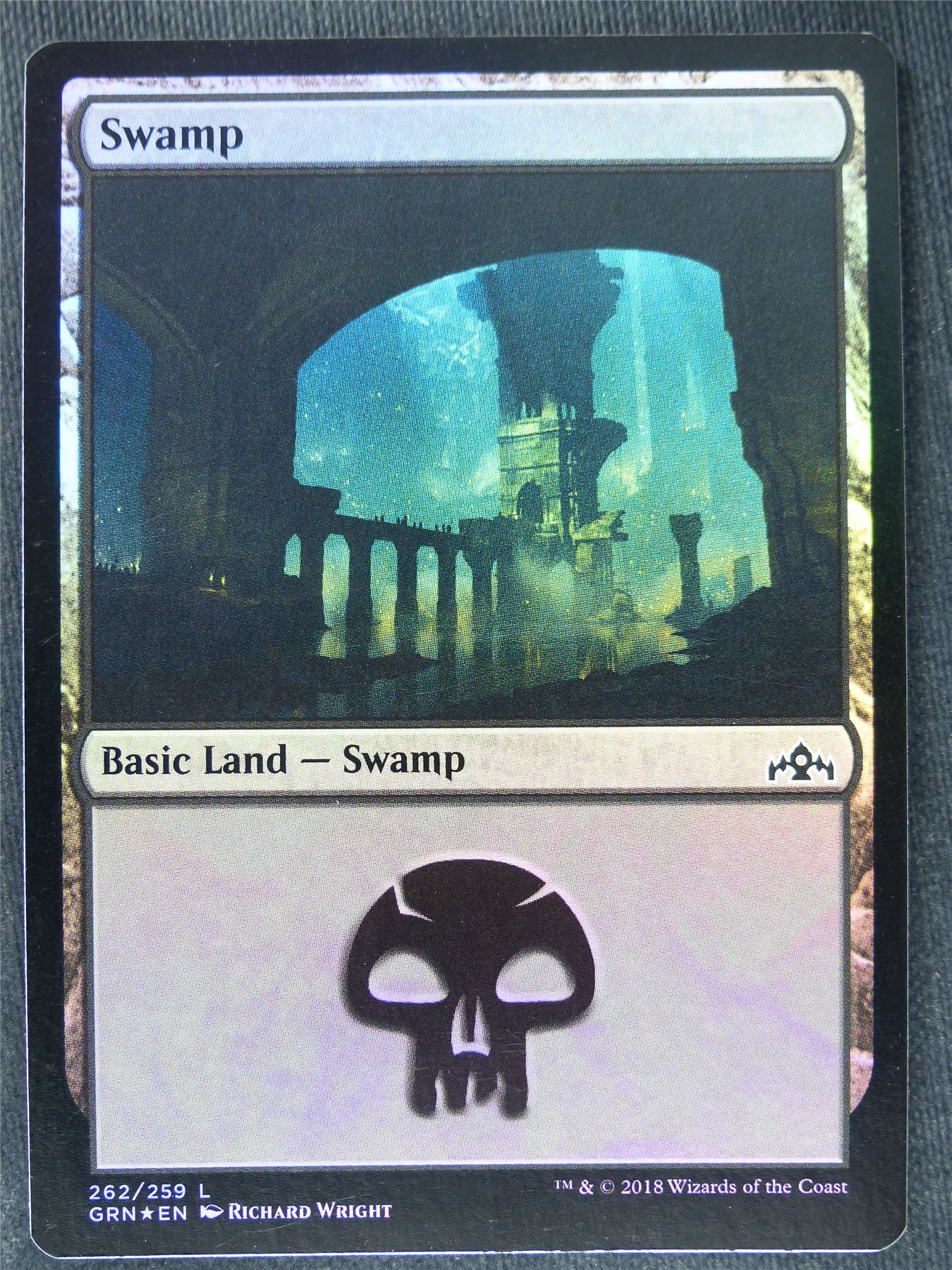 Swamp 262/259 Foil - Mtg Magic Cards #1IW