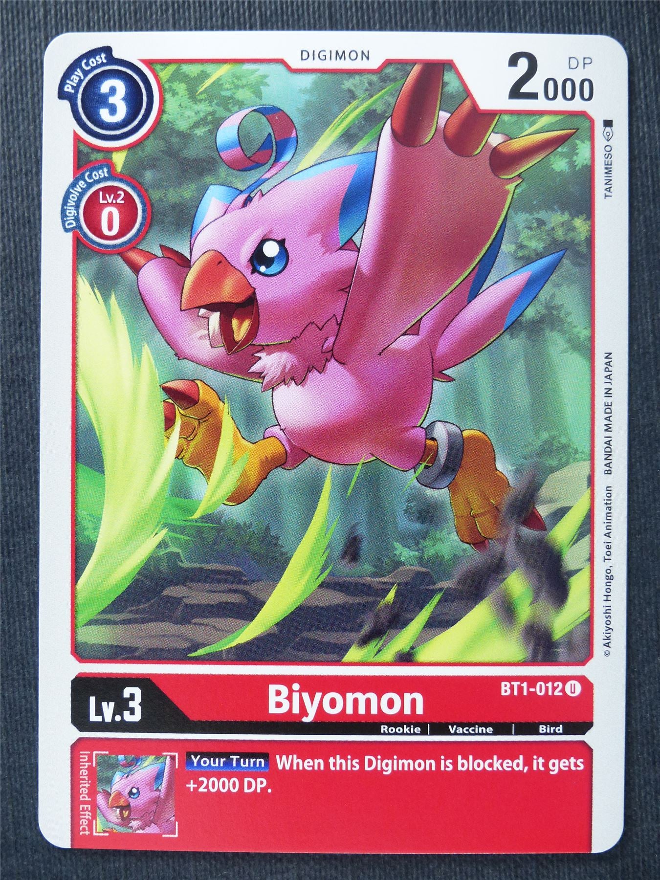 Biyomon BT1-012 U - Digimon Cards #RQ