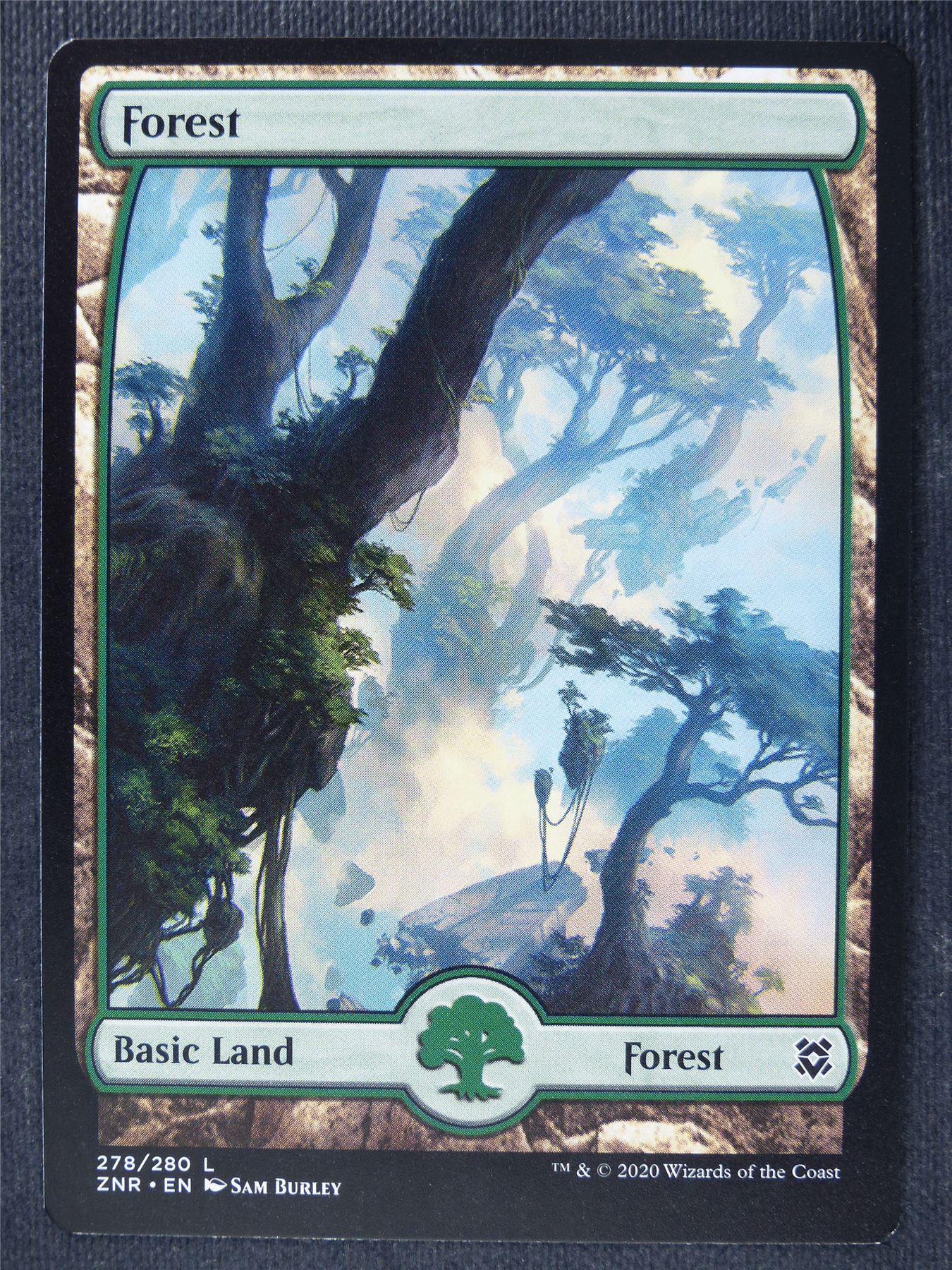 Forest 278/280 Full Art - Mtg Magic Cards #PI