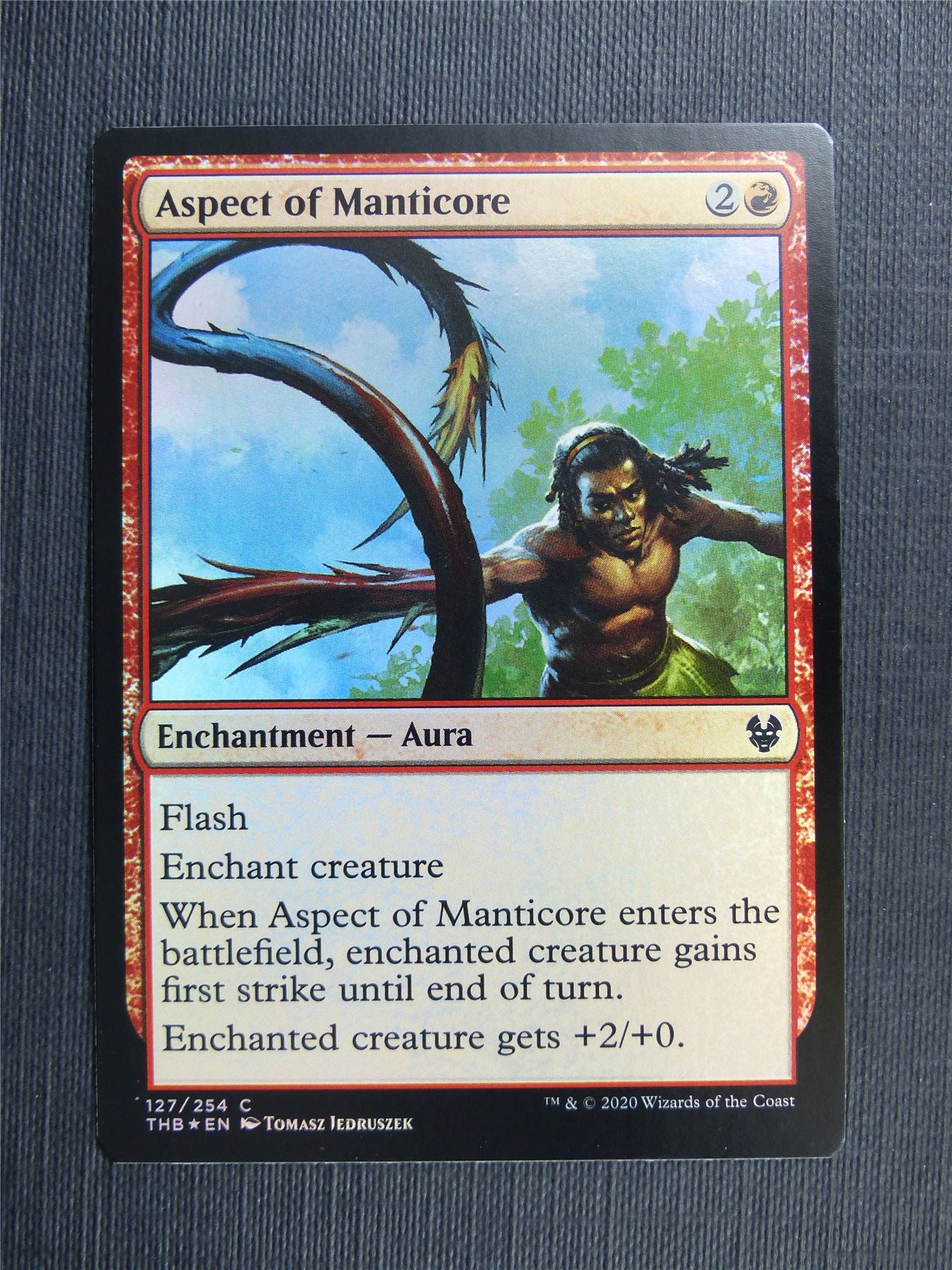 Aspect of Manticore Foil - Theros Collector Ed - Mtg Magic Cards #3MV