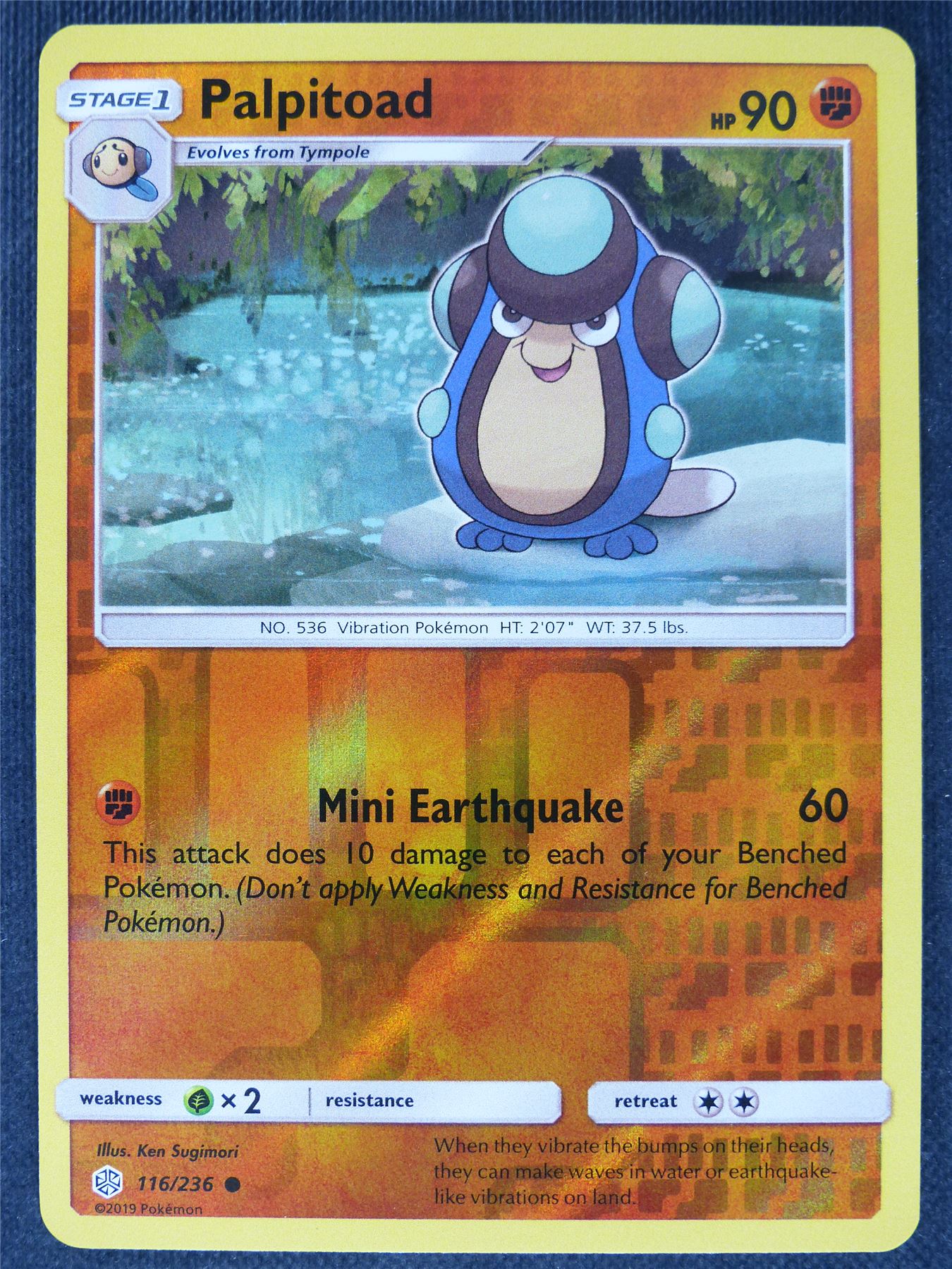 Palpitoad 116/236 Reverse Holo - Pokemon Cards #BT