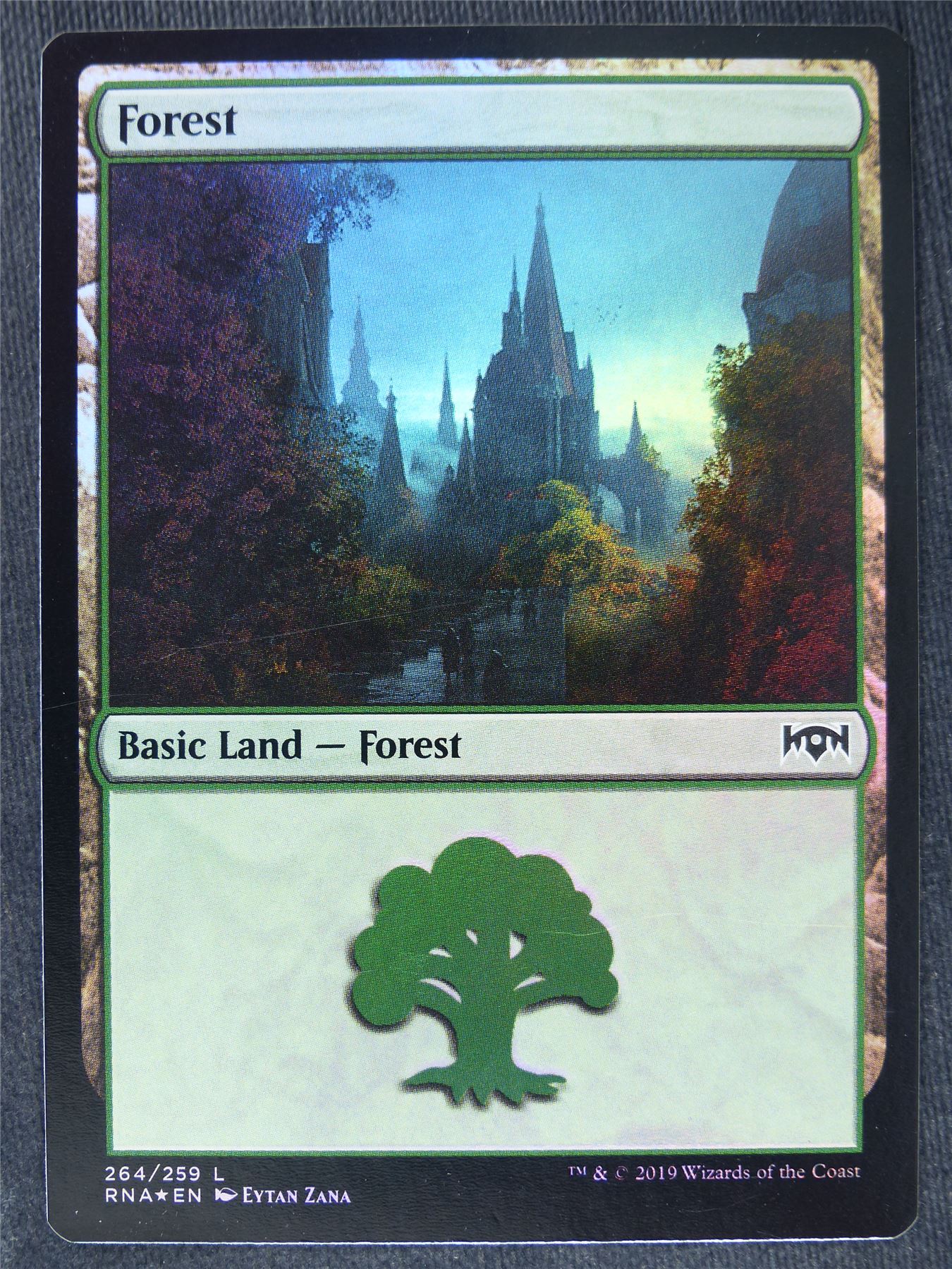 Forest 264/259 Foil - Mtg Magic Cards #1J1