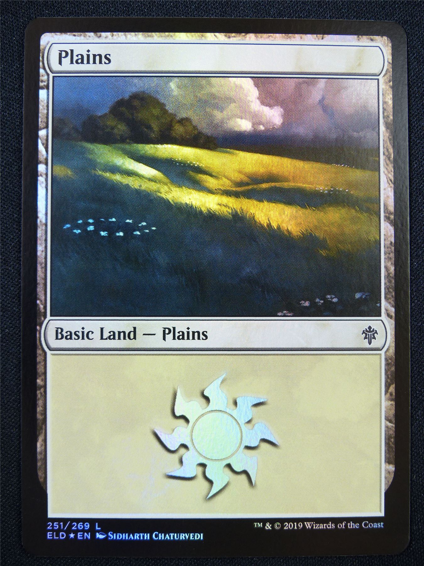 Plains 251/269 Foil - Mtg Card #23E
