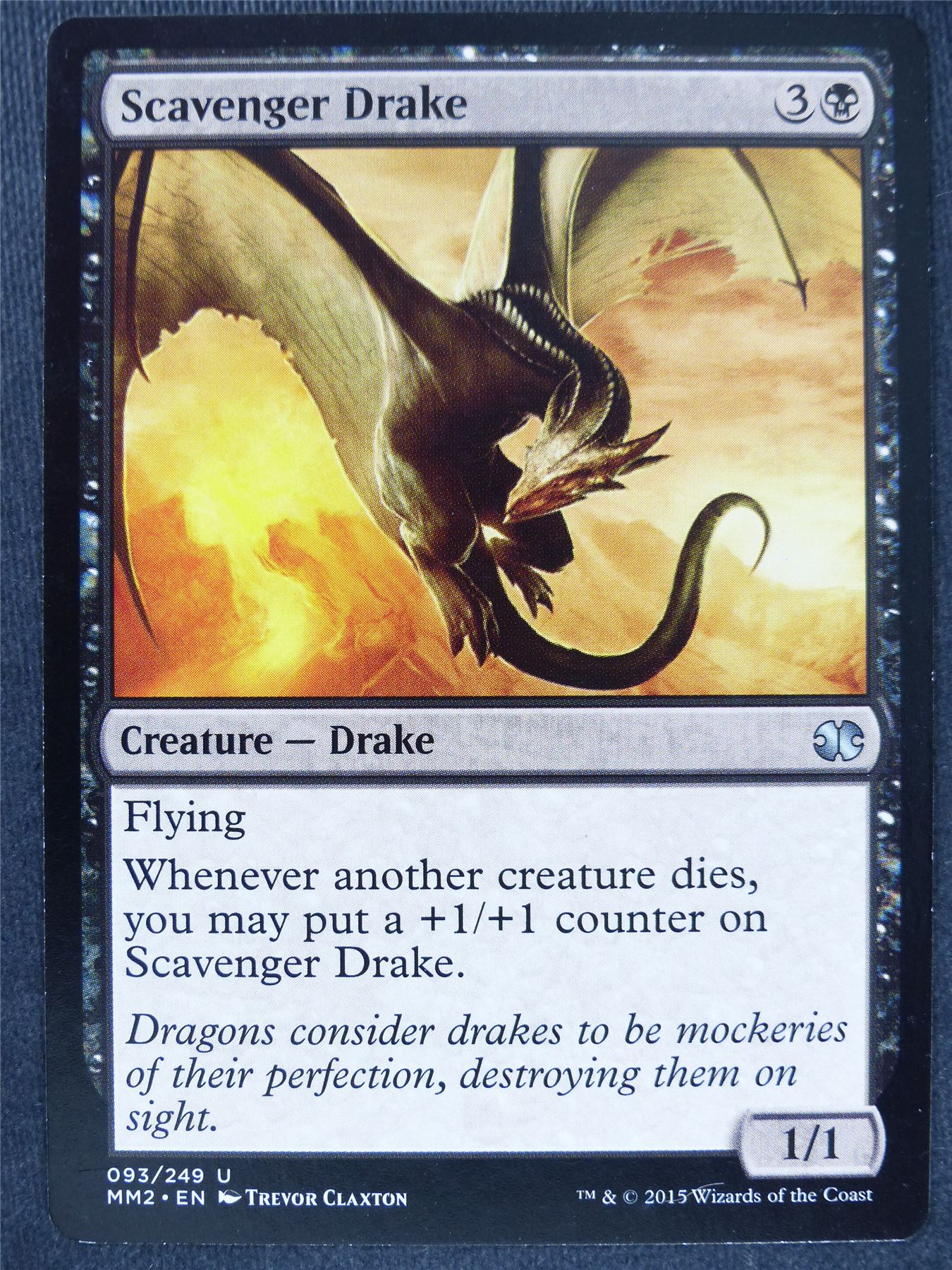 Scavenger Drake - Mtg Magic Cards #E6