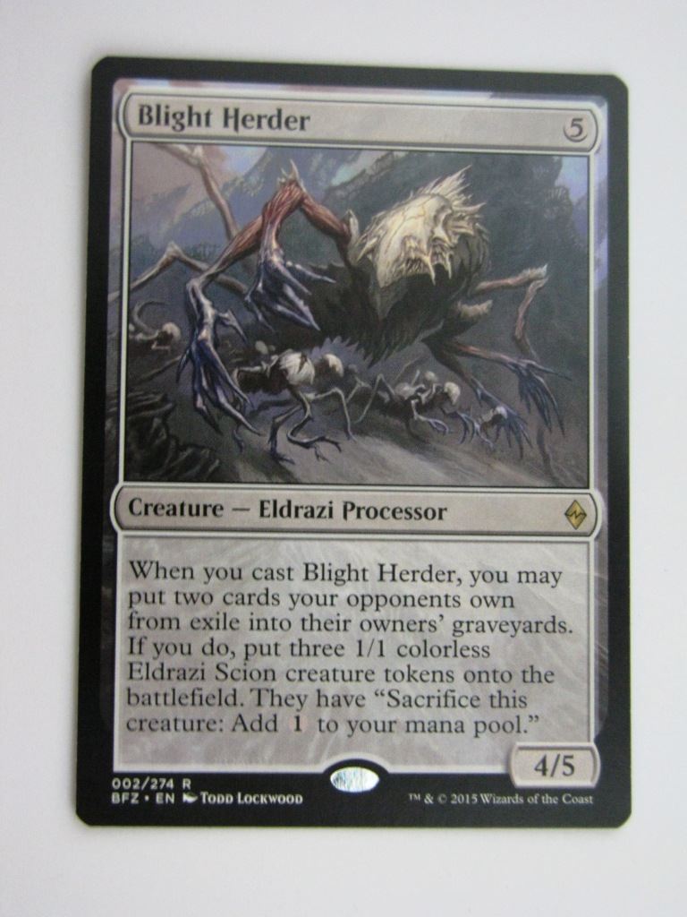 MTG Magic Cards: BLIGHT HERDER # 36F39