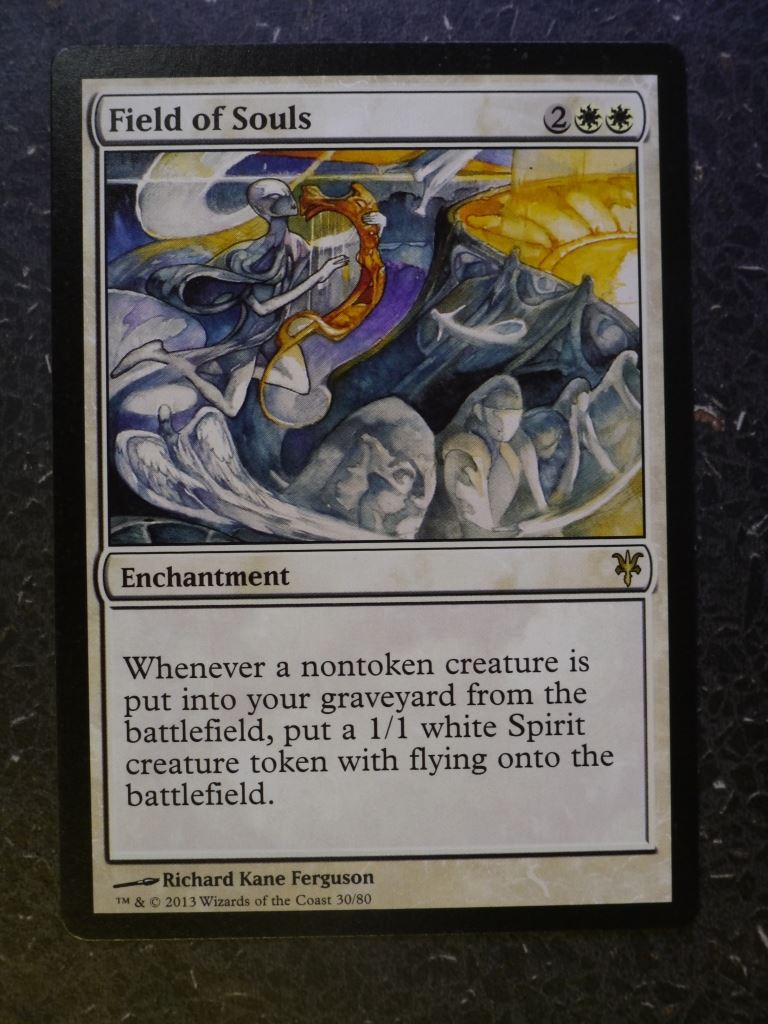MTG Magic Cards: FIELD OF SOULS # 6F13