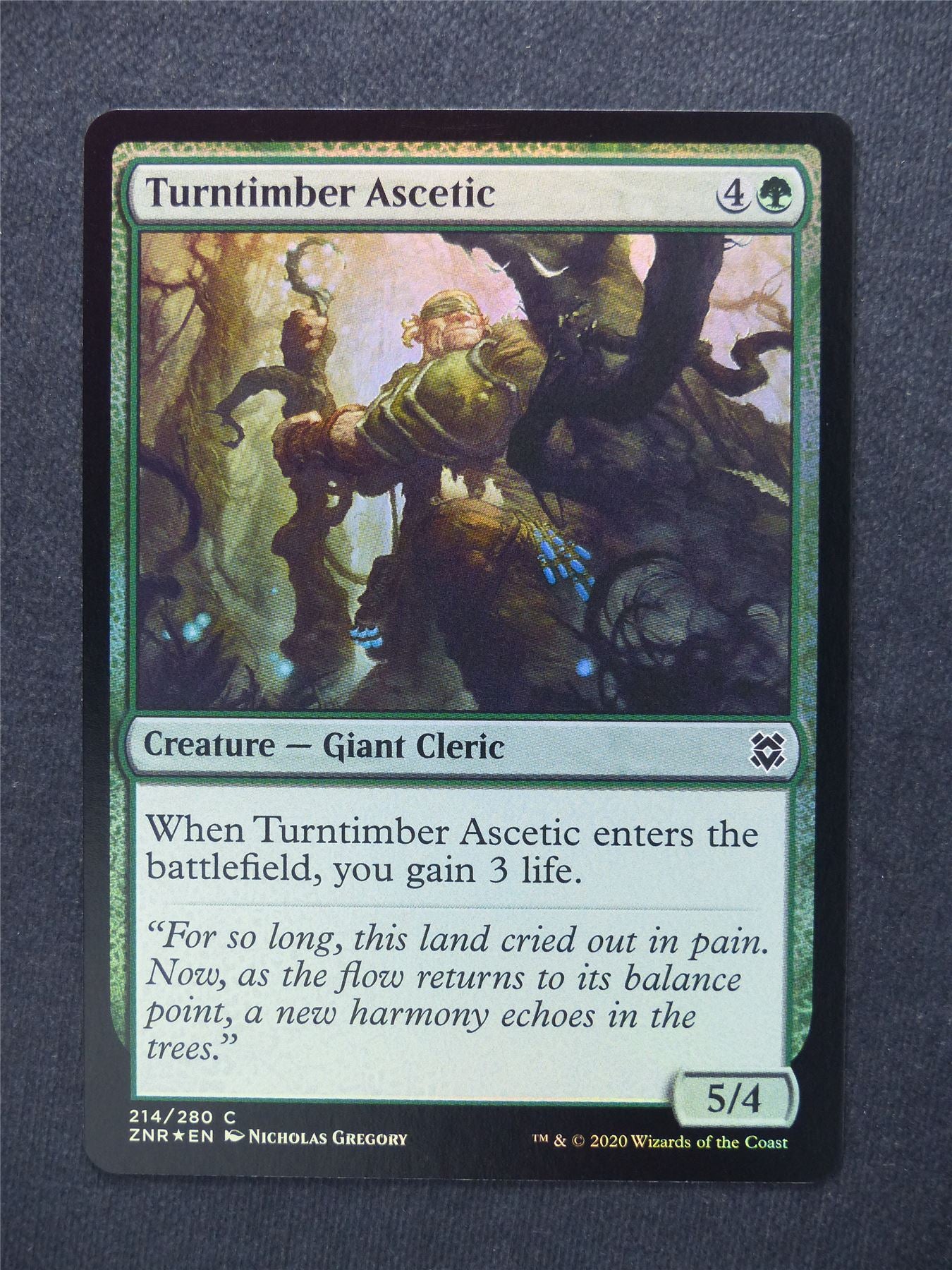 Turntimber Ascetic Foil - Mtg Magic Cards #V0