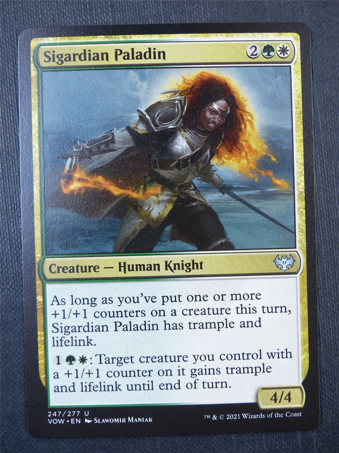 Sigardian Paladin - Mtg Card #8TS