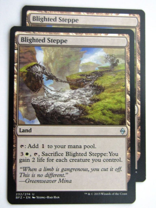 MTG Cards: BATTLE FOR ZENDIKAR: BLIGHTED STEPPE x2 # 37B37