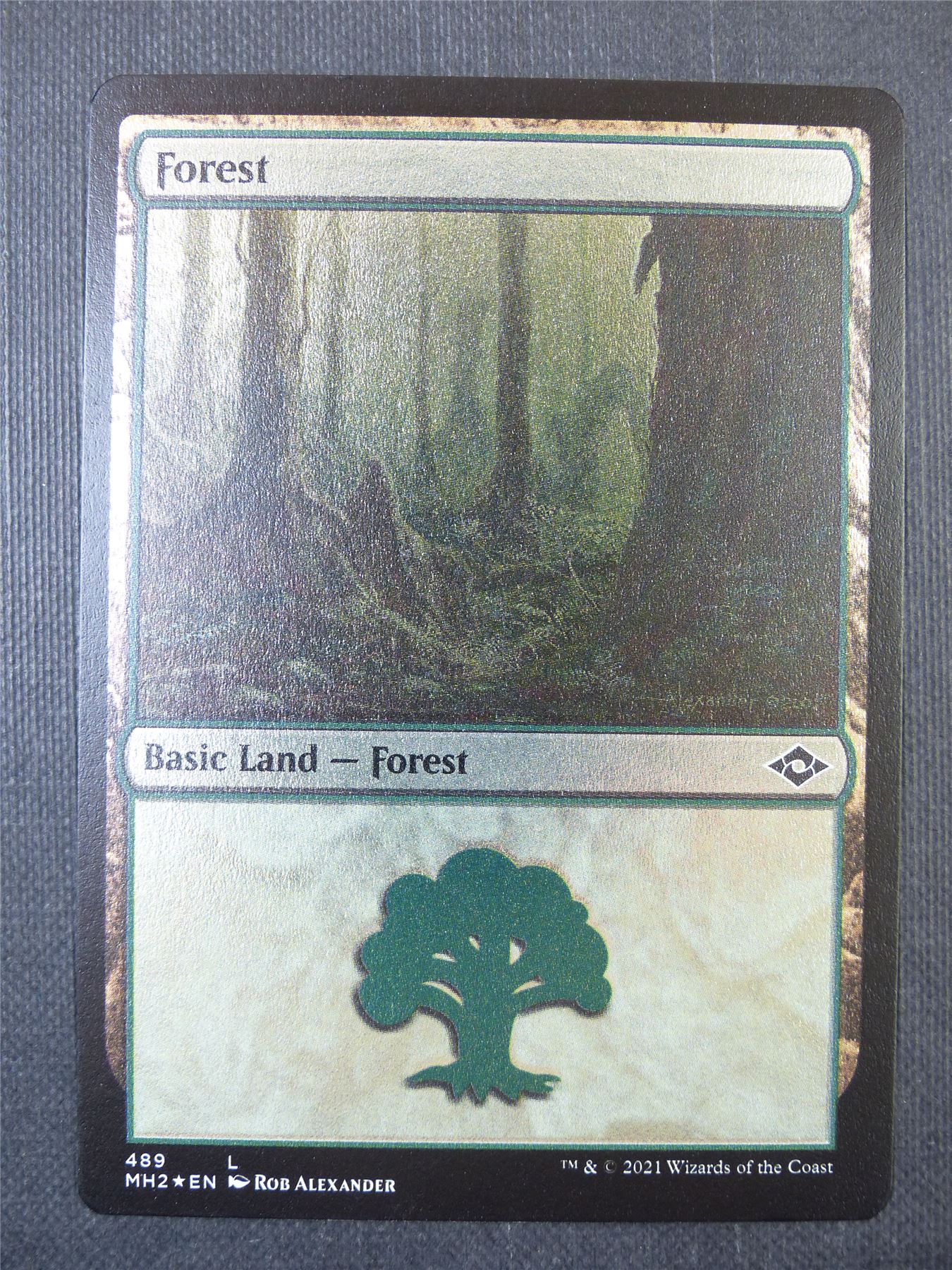 Forest Etched Foil - Mtg Card #8X8