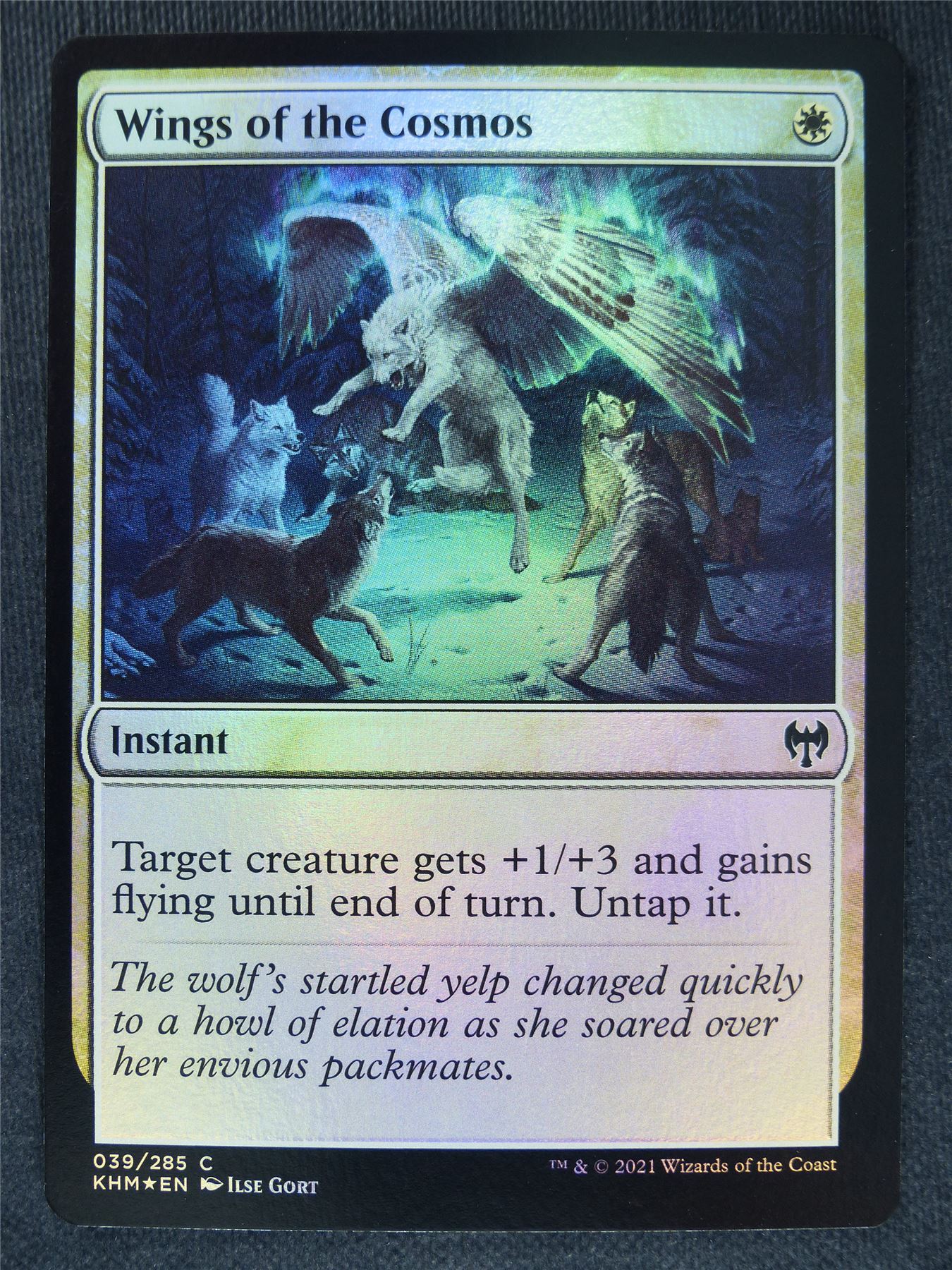 Wings of the Cosmos Foil Collector